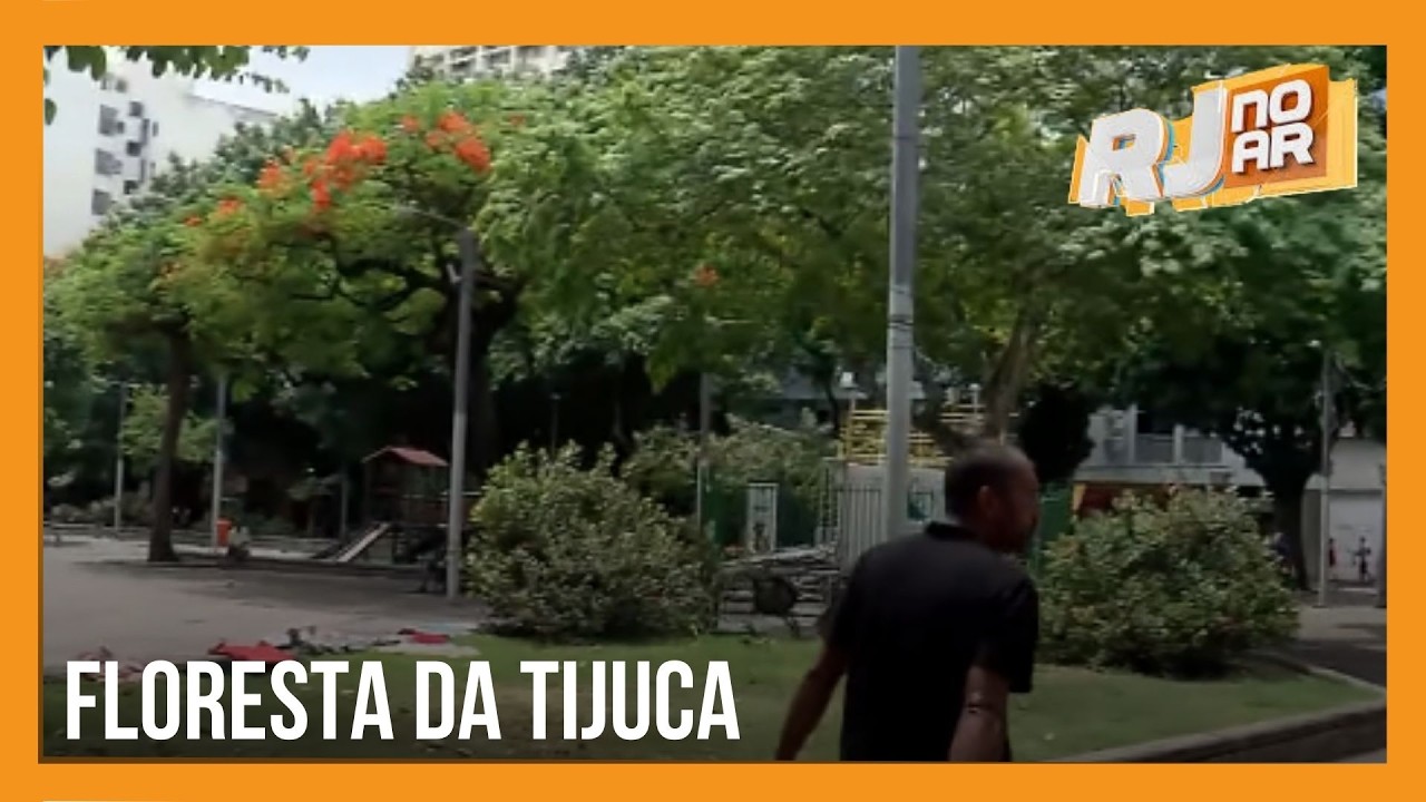 FLORESTA DA TIJUCA AJUDA A RESPIRAR O RIO I MAIS ÁRVOERE MENOS CALOR