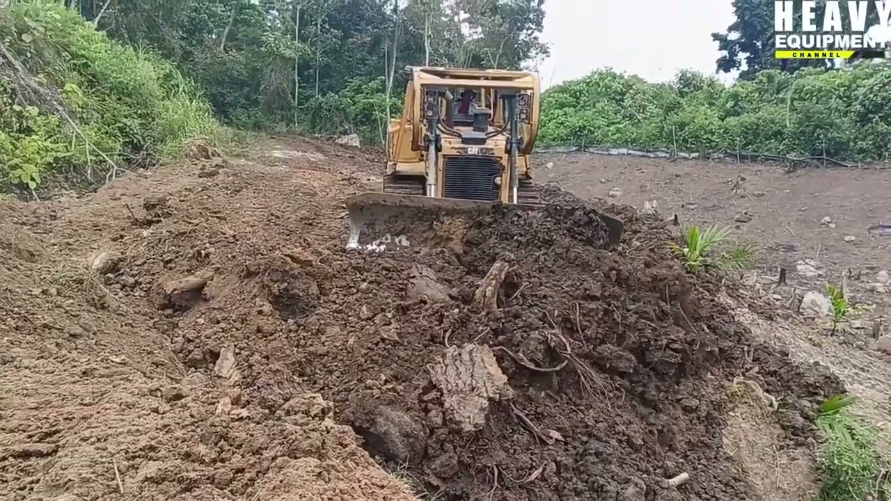 Caterpillar D6R XL Bulldozer Operator Skillfully Works to Widen Rocky Road on Plantation
