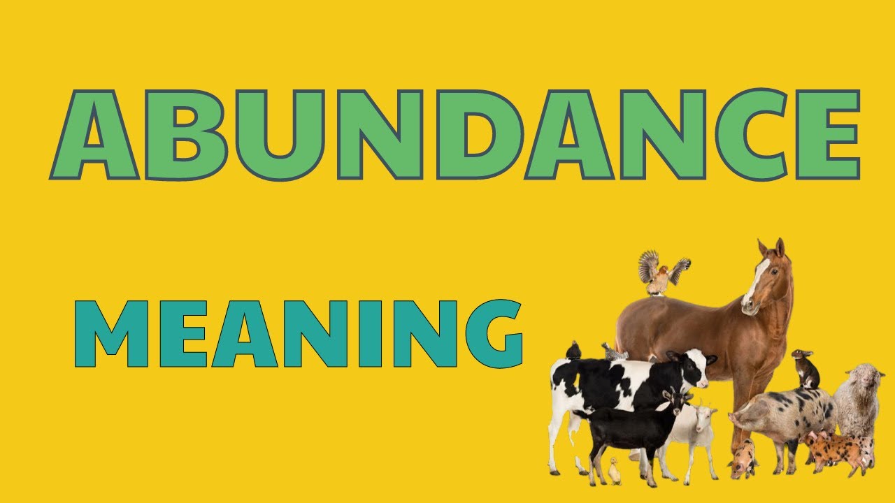 Meaning of Abundance In English  || means and definition