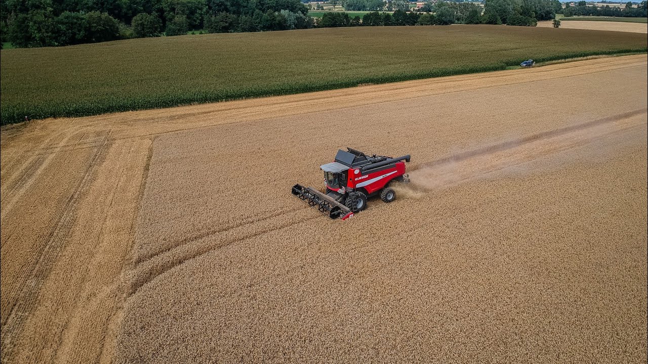 Moisson 2020 - Laverda M400LS - SARL EMAILLE