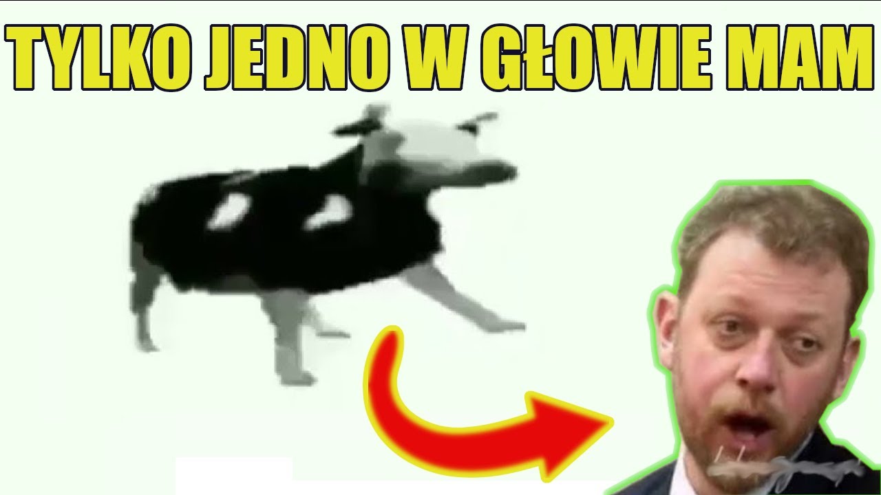 Historia Memów - DANCING POLISH COW (TYLKO JEDNO W GŁOWIE MAM...)