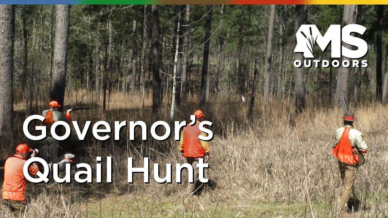 Inside Mississippi’s Governor’s Quail Hunt