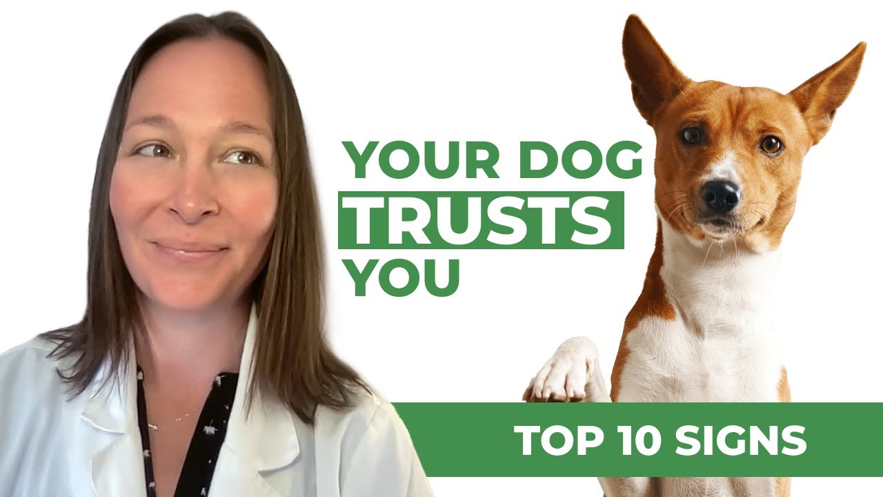 Top 10 Signs Your Dog Trusts You! 🐾