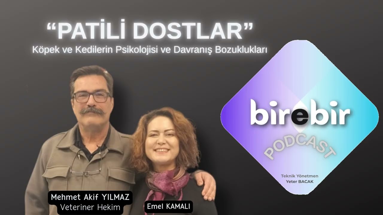 PATİLİ DOSTLAR 
