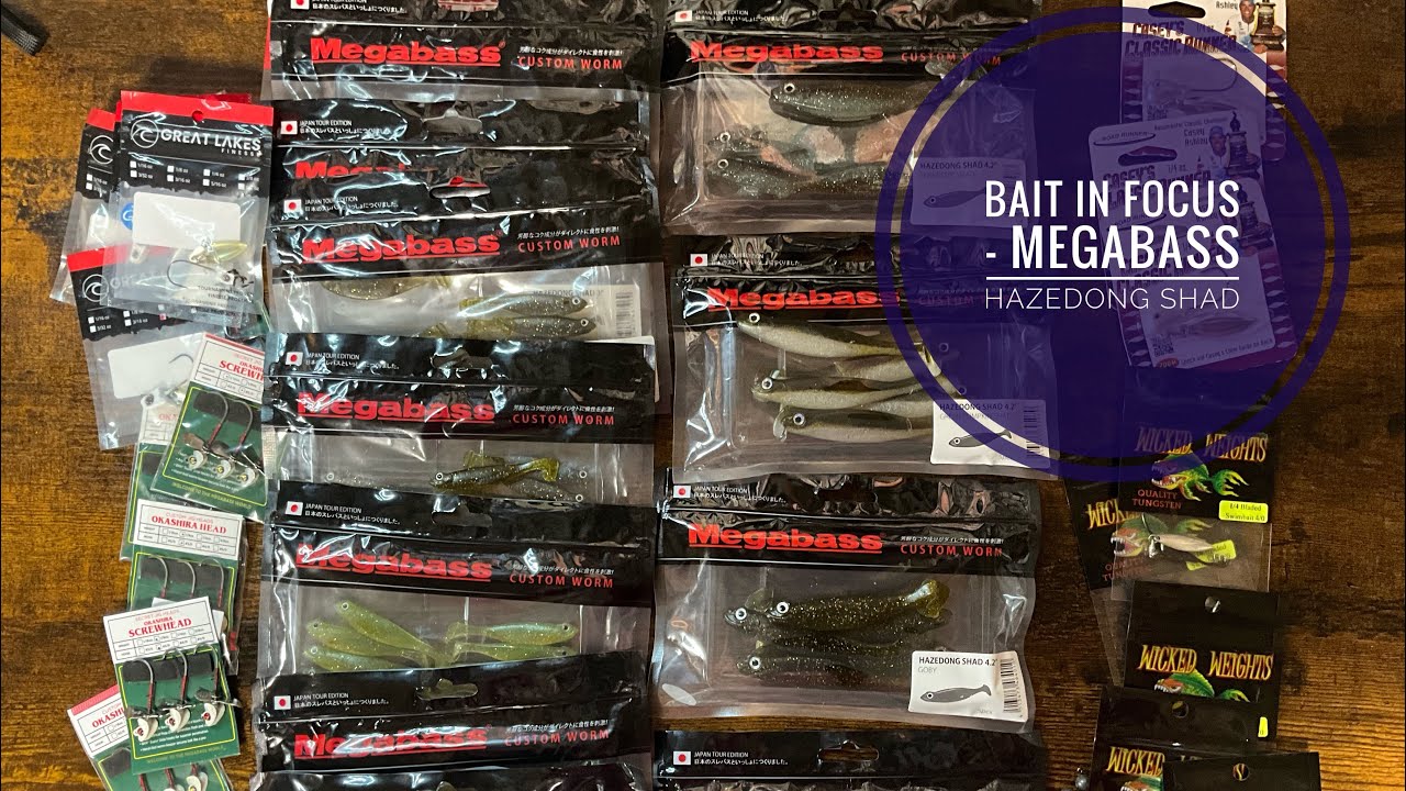Bait In Focus - Megabass Hazedong Shad