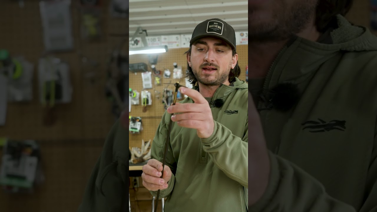 Система охоты на индейку, которая имеет смысл #BEEREAL #SHORTS #TURKEY #HUNTING