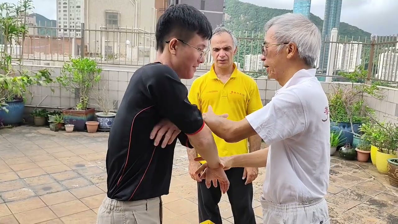 Details 7° Two Man Set Weng Chun Form PART 2