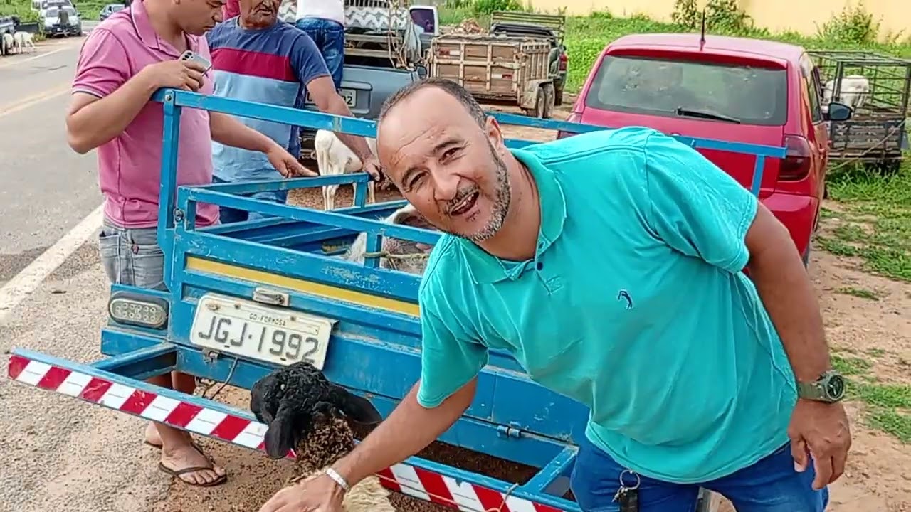 Feira de campos Sales ceará 