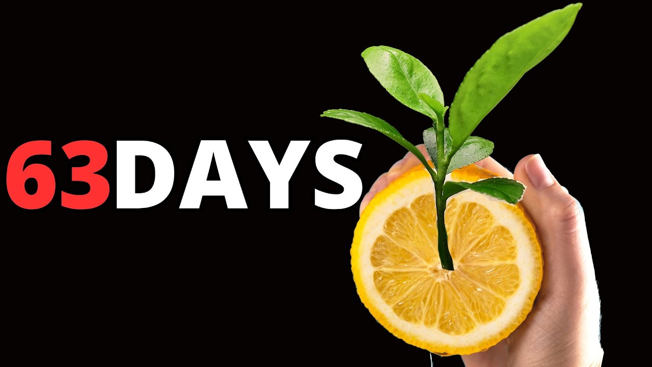 LEMON TREE from SEED Plant Time Lapse