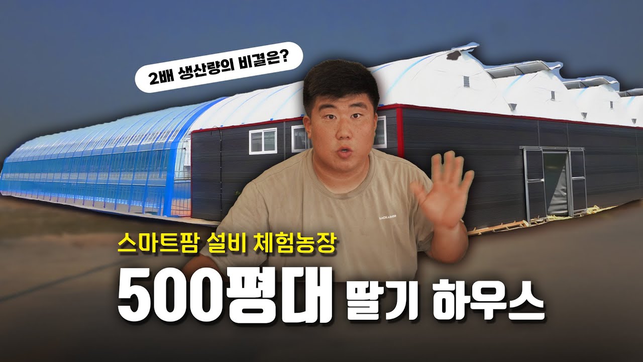 500평대 딸기 스마트팜 견적서까지 알아보기! / 체험농장 하우스 공간배치시 주의할 점은?