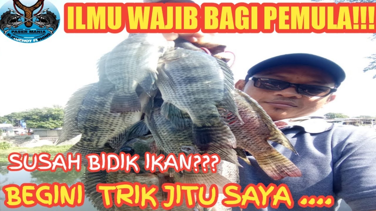 WAJIB TONTON BAGI PEMULA!!!! TRIK JITU BIDIK IKAN DALAM AIR DENGAN KETAPEL