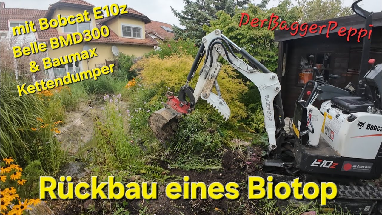 Rückbau eines Biotop/DerBaggerPeppi mit Bobcat E10z, Belle BMD300, Baumax Kettendumper