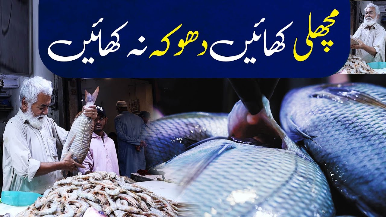 Kemari SeaFood Street I SeaFood In Pakistan I VOK Stories