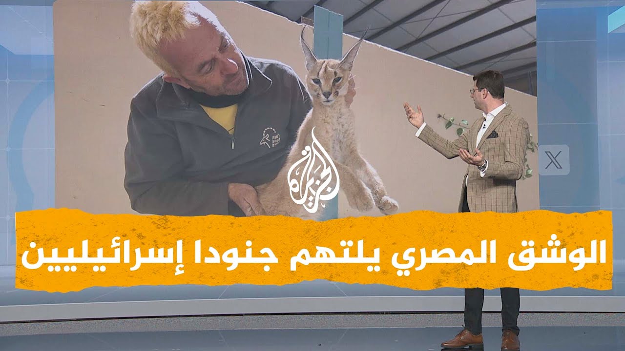 شبكات | الوشق المصري يهاجم جنودا إسرائيليين ويمزق أجسادهم في قاعدة عسكرية