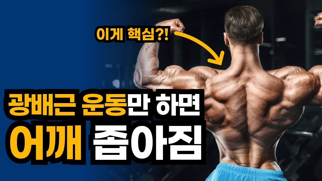 어깨 프레임 커지고 싶으면 광배근 운동 금지