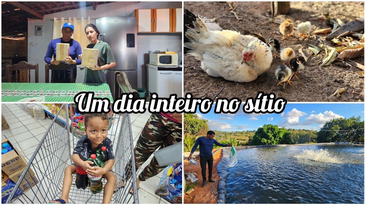 COMPRAS do MÊS // RECEBIDOS // ALIMENTANDO os PEIXES