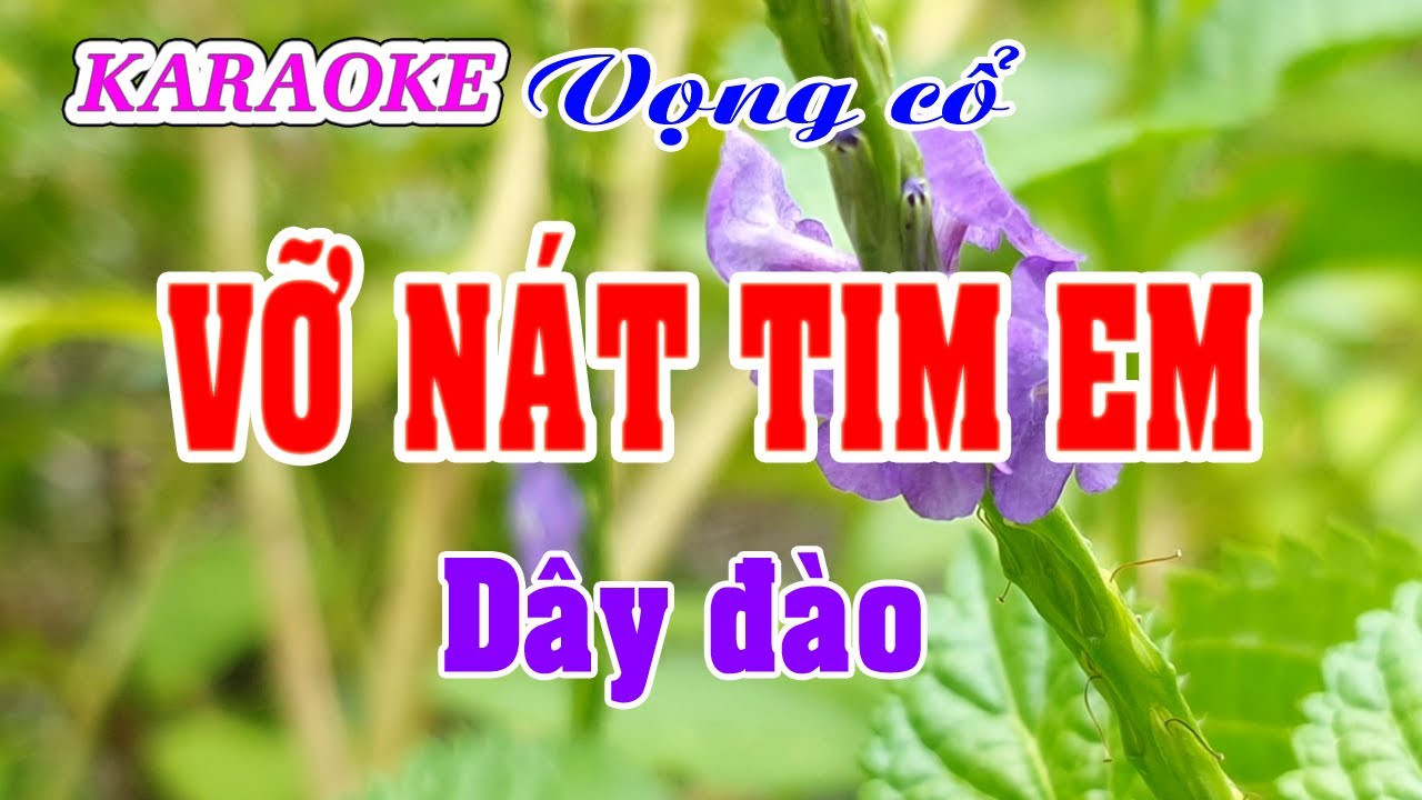 Karaoke _  Vỡ Nát Tim Em _  Dây Đào