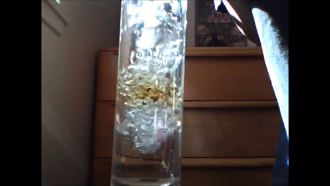 water test - dab