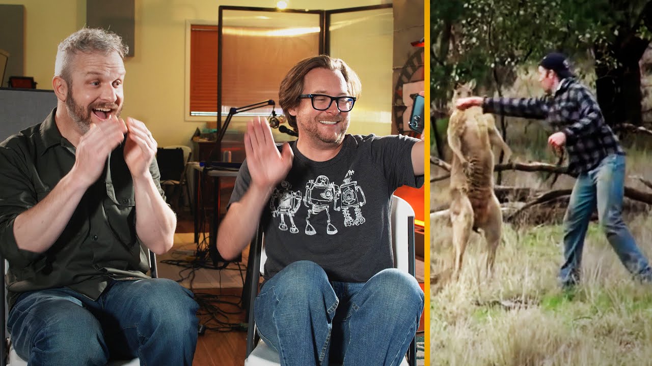 Which Animal Would You Punch In the Face?