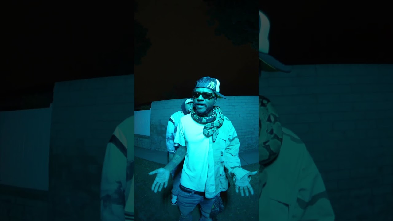 Snakes In The Grass Ft. Ab-Soul