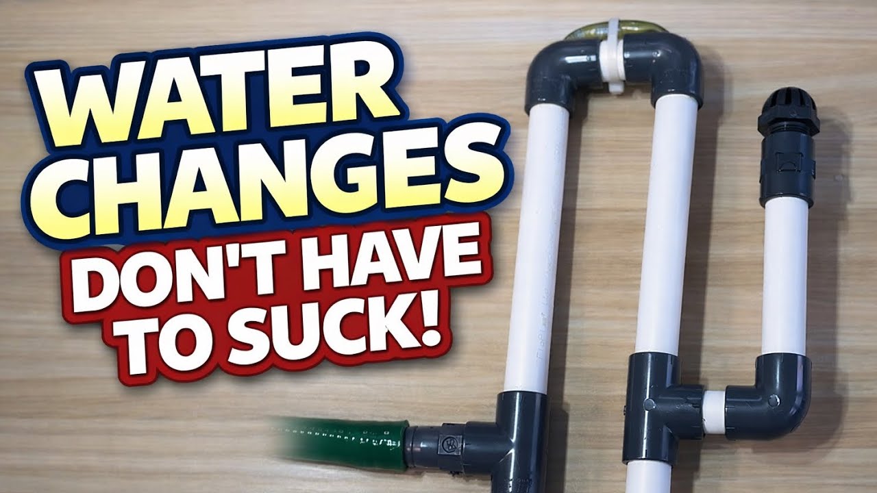 The Constant Siphon: Hands-Free Aquarium Water Changes