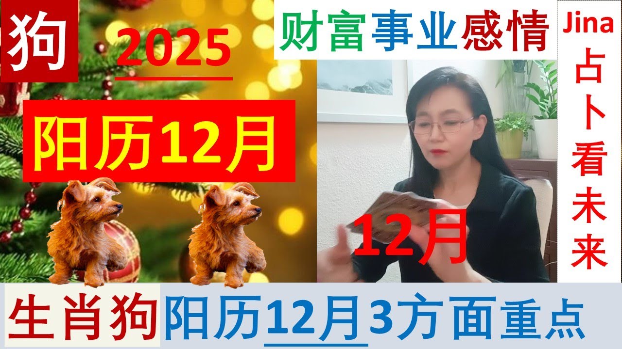 生肖狗🐕‍🦺阳历12月/25🌞又重新找会了你的方向🍀财富/事业/感情/宇宙的指引, 3个方面重点🍀