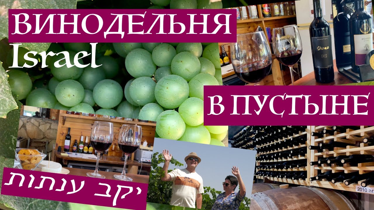 Израиль| Винодельня в пустыне