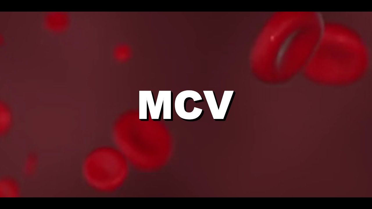 MCV Elevation? Bone marrow toxicity?