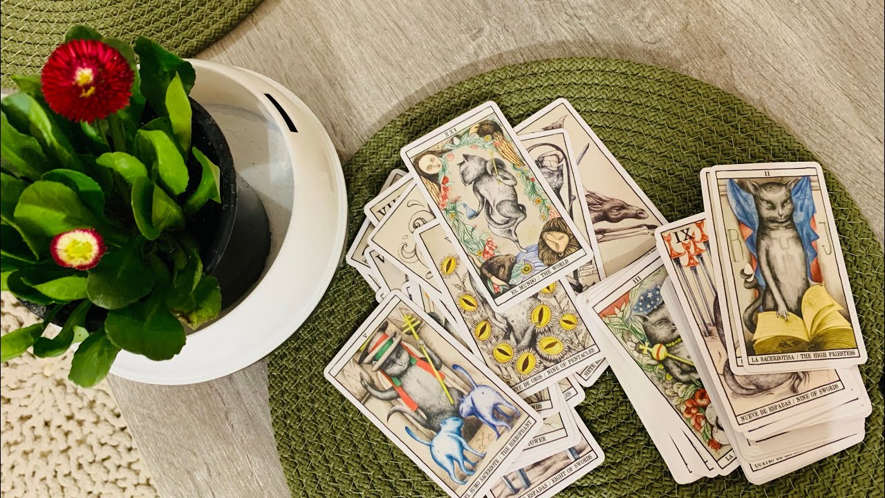 რას ფიქრობს და რას გრძნობს თქვენი პარტნიორი? რას გეტყოდათ თქვენ ახლა?