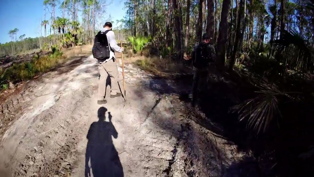 Finding Burnt Forrest