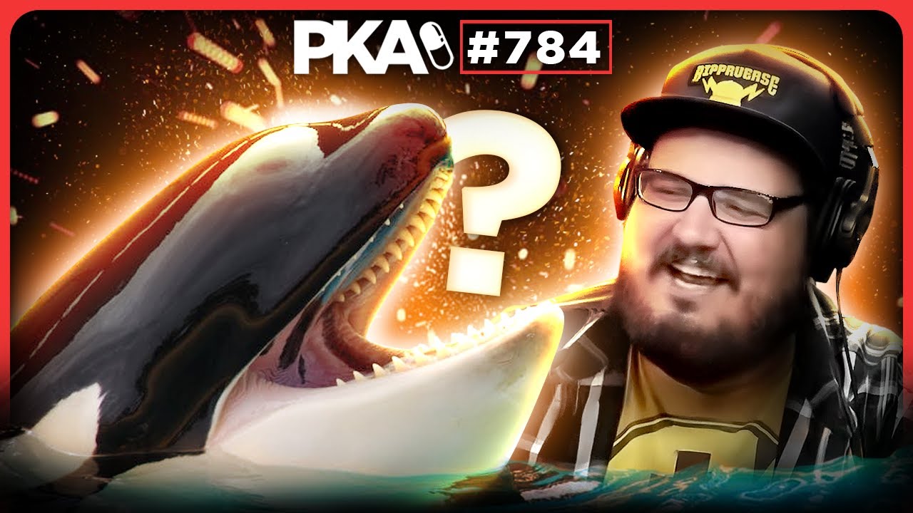 PKA 784 W/ Vito: What Kind of Whale is Best?