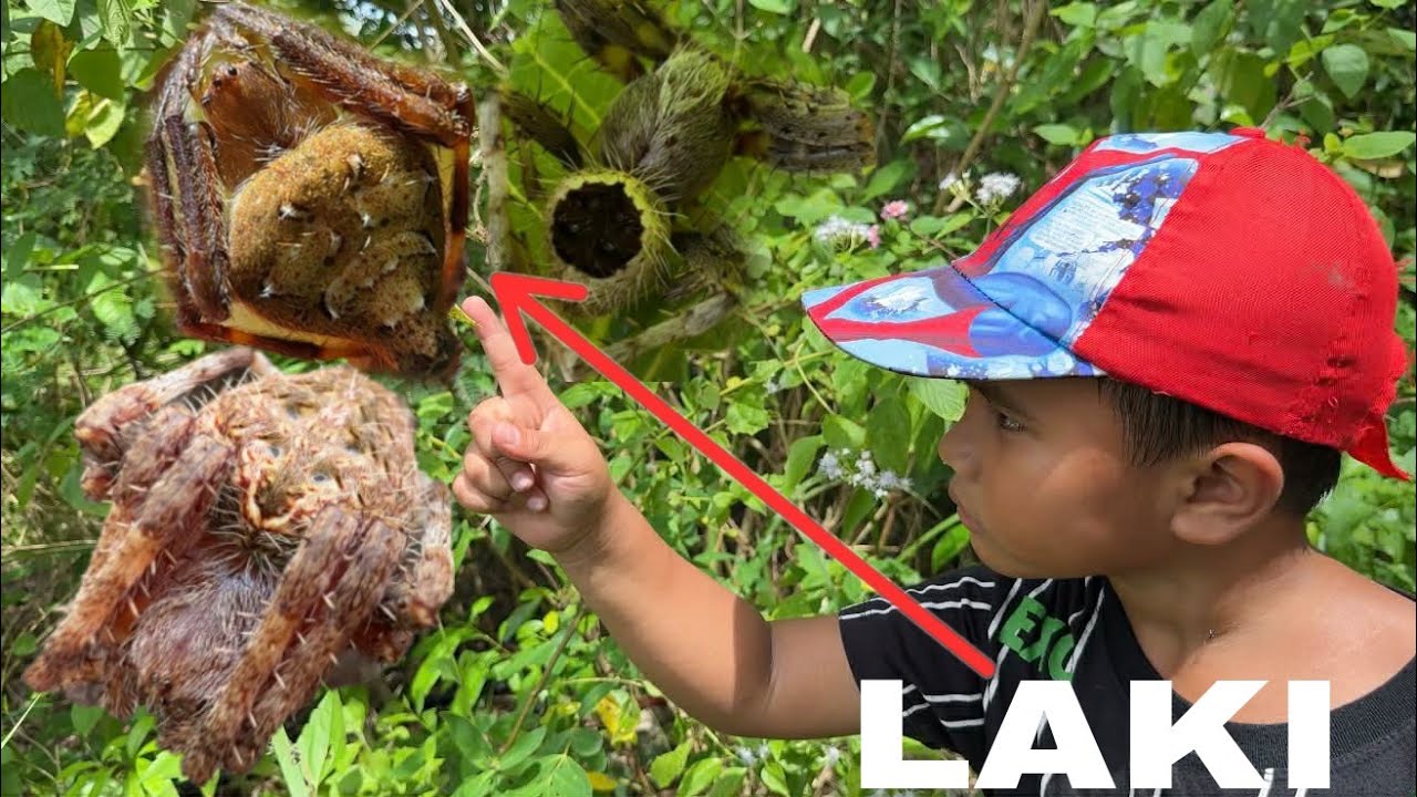 MERON KAMING NAKITANG KAKAIBANG GAGAMBA