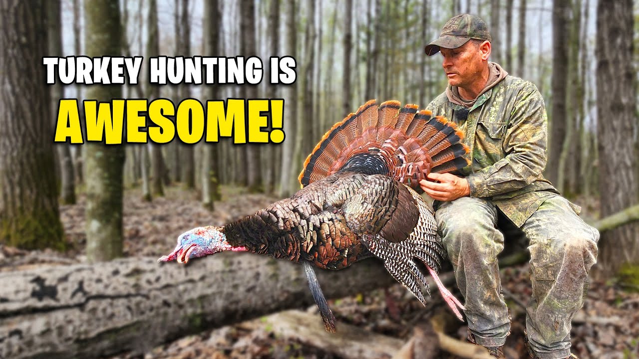 Another Exciting Turkey Hunt! - Turkey Hunting Eastern Gobblers