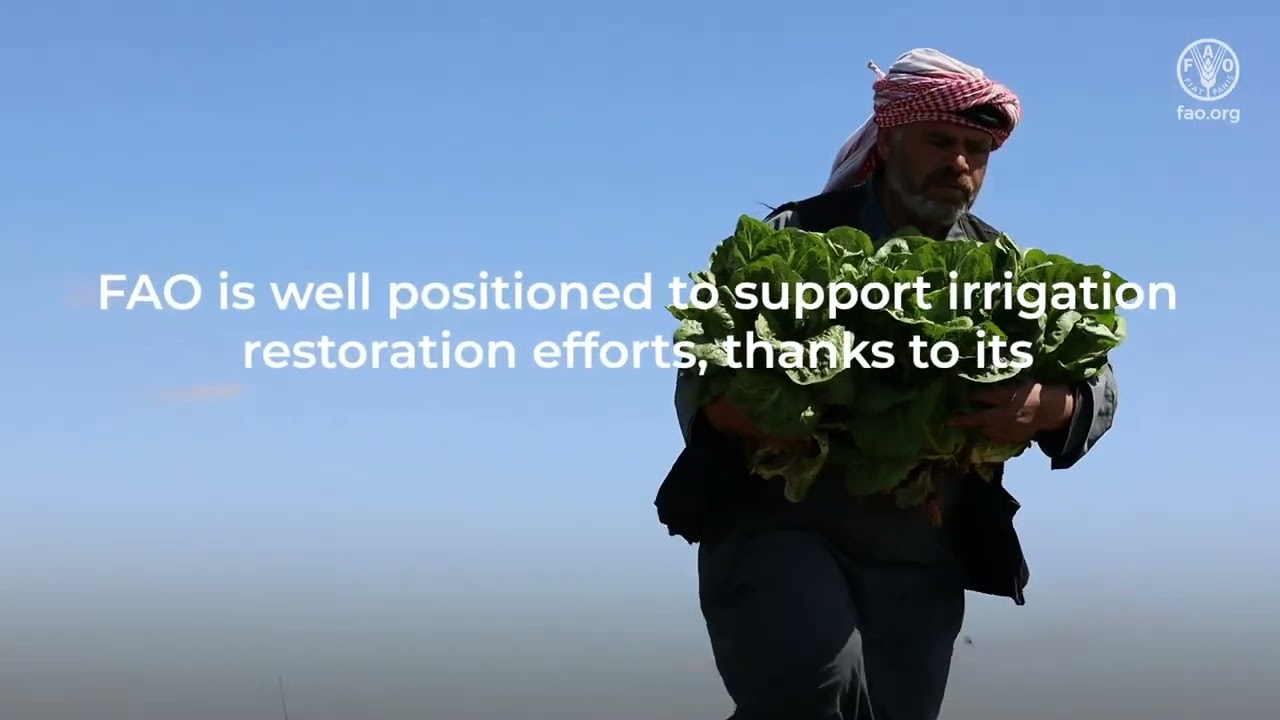 FAO’s mission to sustain irrigation in the Syrian Arab Republic
