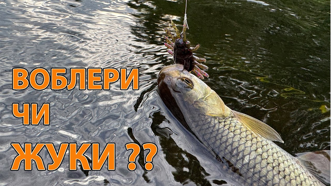 РИБАЛКА на  ультралайт ГОЛОВЕНЬ І ОКУНЬ на спінінг Corto UX