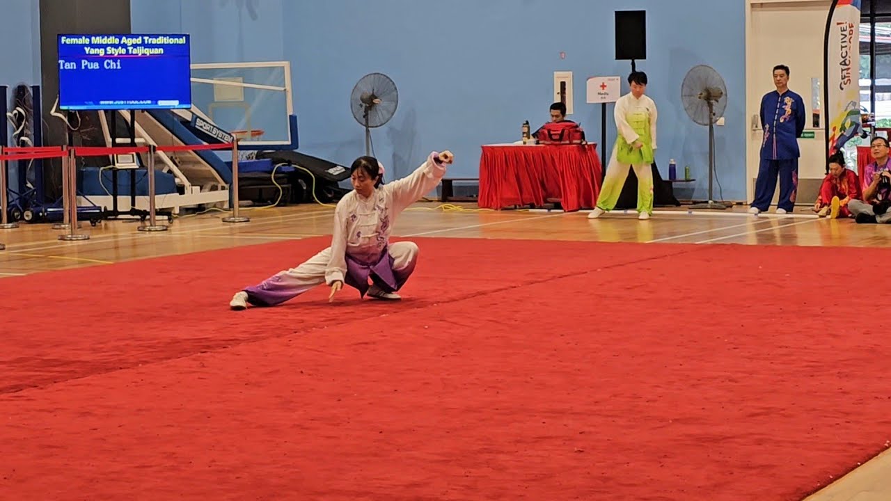 楊式40式太极拳 - 陈珮琪 Yang Style 40 Form Tai Chi (Shortened)