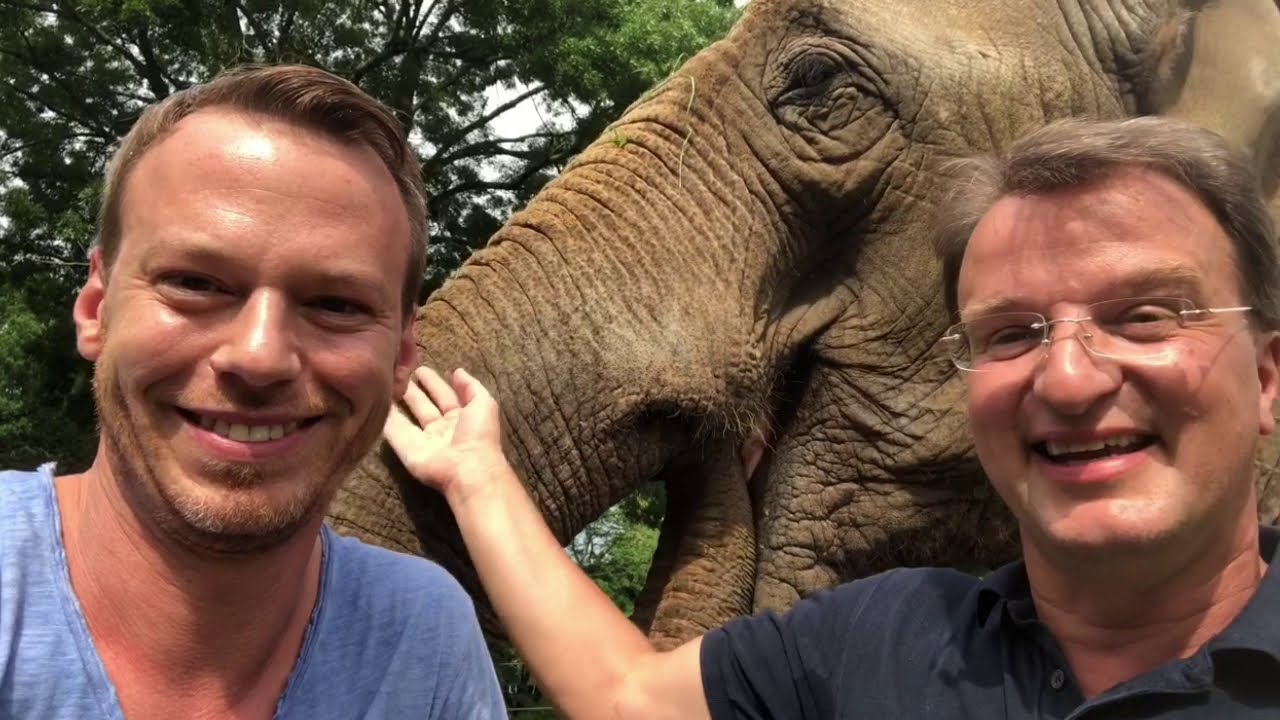 Artenschutz im Zoo Karlsruhe: Elefanten