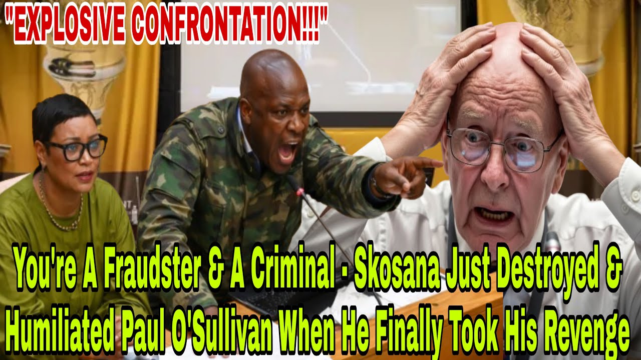 YOU'RE A CRIMINAL & A FRAUDSTER - MKP MP Skosana Finally Takes His Revenge On Paul O'Sullivan