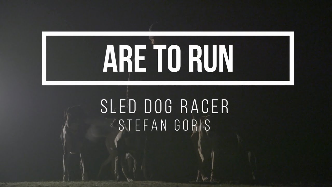 Stefan Goris World Champion sled dog racing - a mushers life
