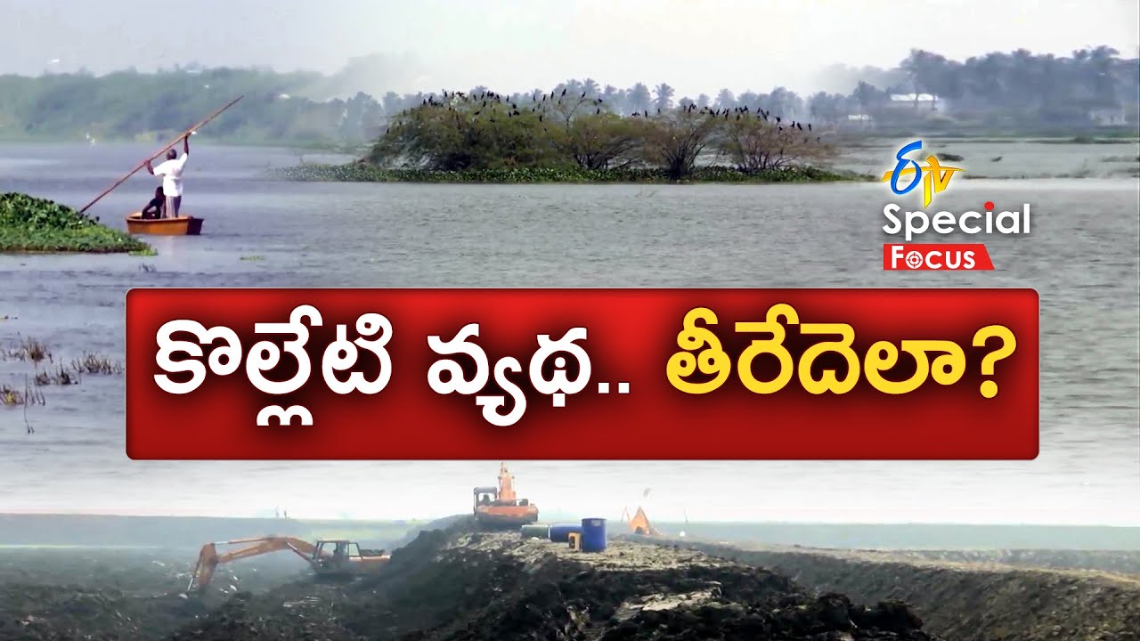 AP Govt to Fix Boundaries to Kolleru in 3 Months | Informs SC Over Action Plan || ETV Special Focus