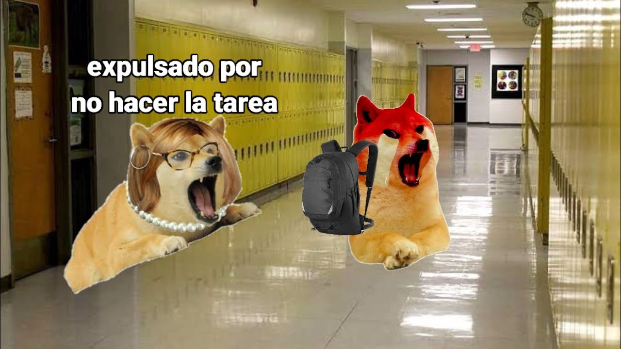 maestra con derecho me expulsa y yo me vengo de el