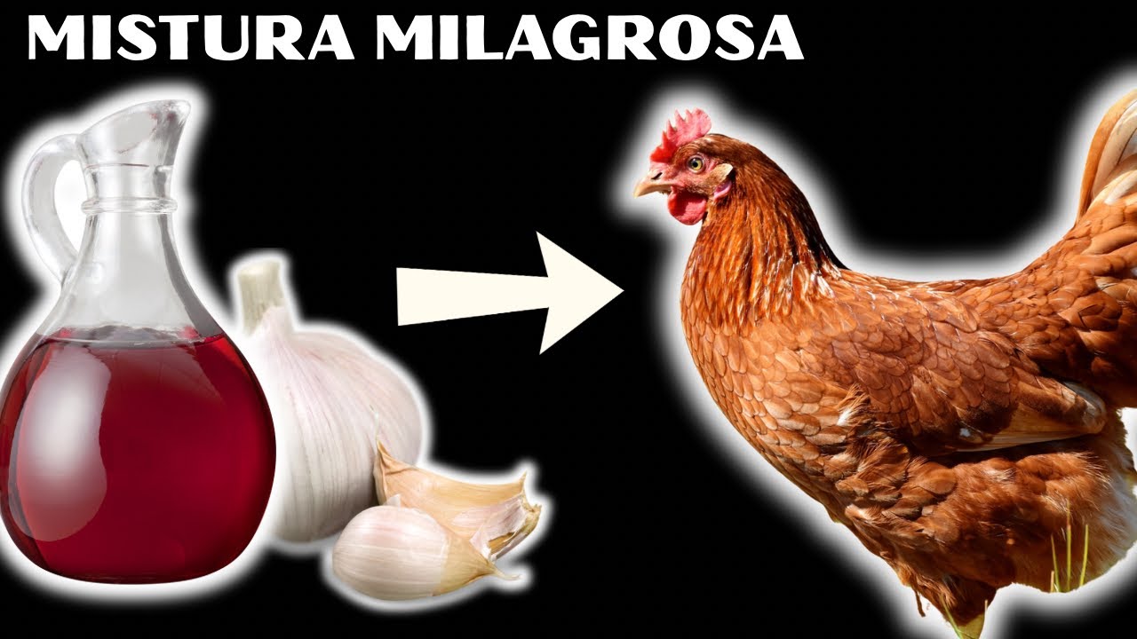 BASTA UMA COLHERINHA E ADEUS DOENÇAS! Cure ronqueira e vermes na criação com essa dupla!