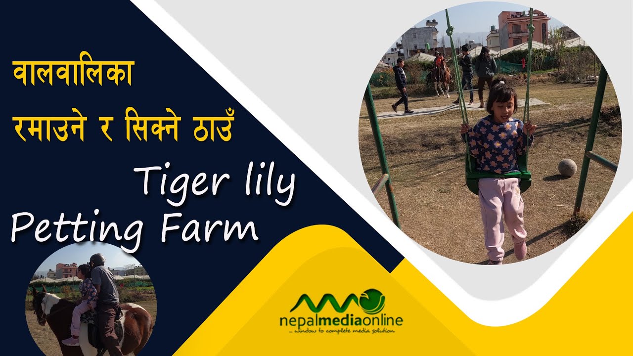 वालवालिकाले सिक्ने र रमाउने ठाउँ || Tiger Lily Petting Farm || Kids Refreshment/Learning Destination
