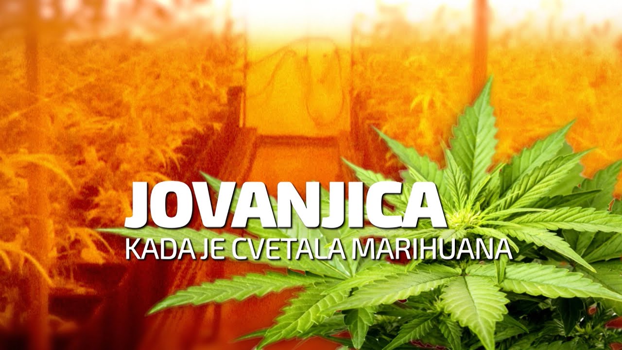 Specijalna emisija 