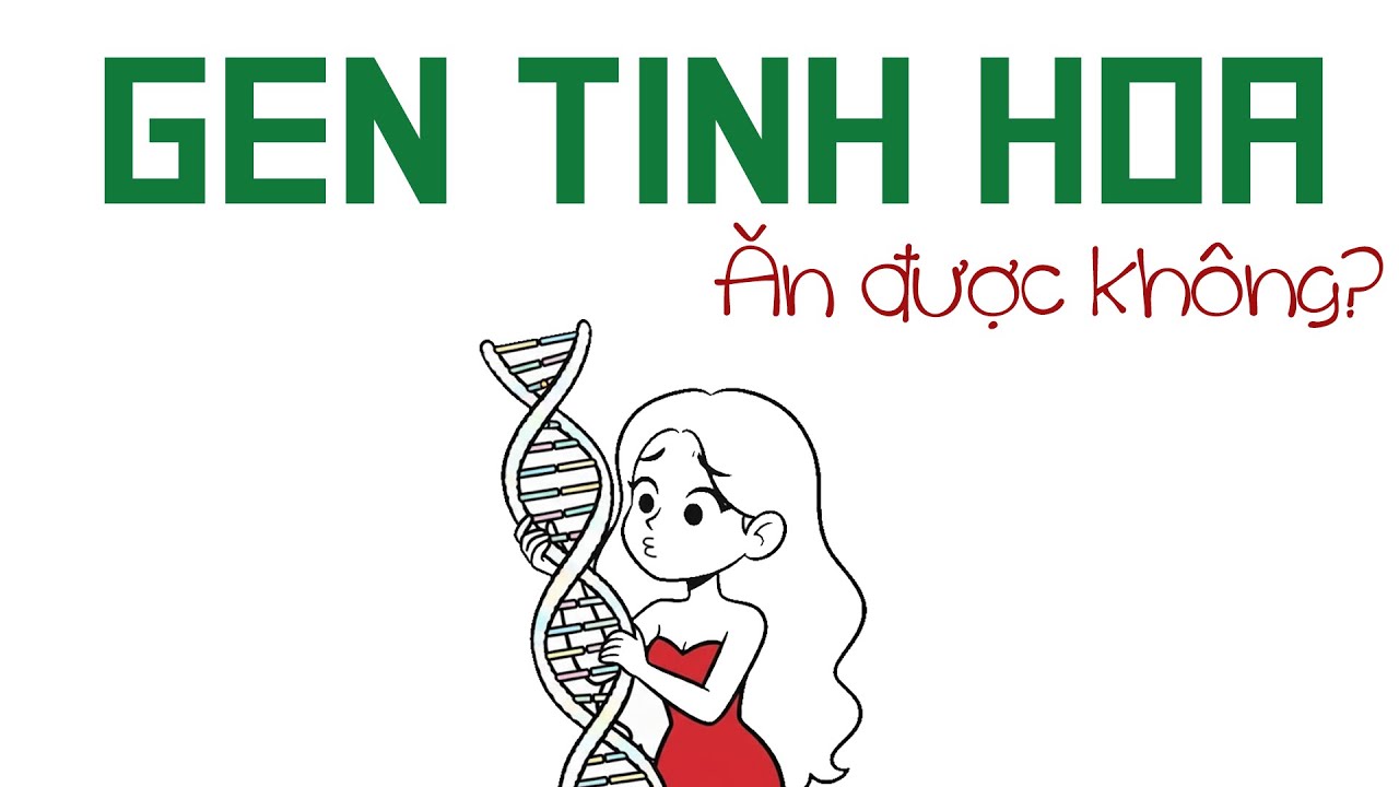 8 Phút So Sánh Gen Tinh Hoa Và Gen Tầm Thường