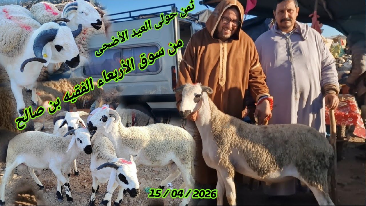 مباشرة من سوق الاربعاء الفقيه بن صالح جهة بني ملال مع تمن حولى العيد الأضحى.( 15/04/2026 )
