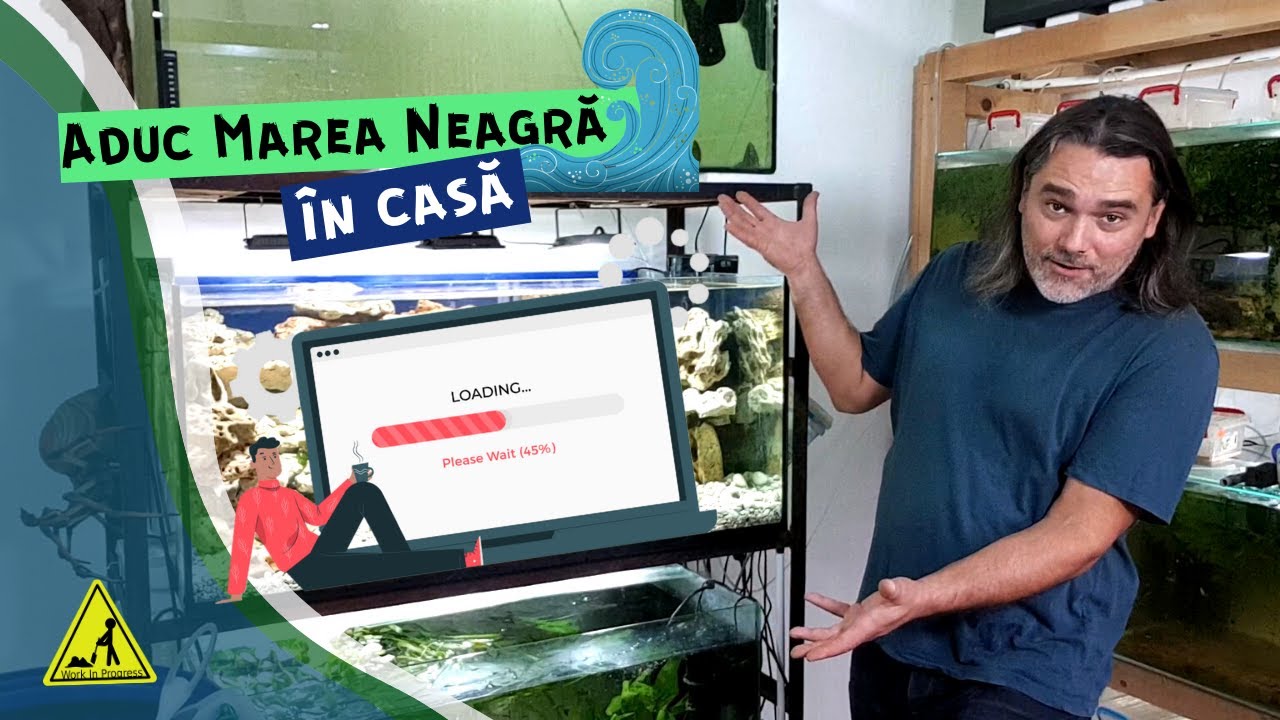 Acvariu biotop Marea Neagra
