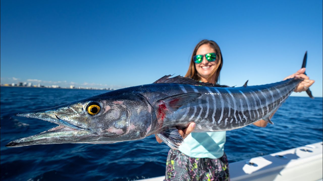 How To Fillet Wahoo (Ono)
