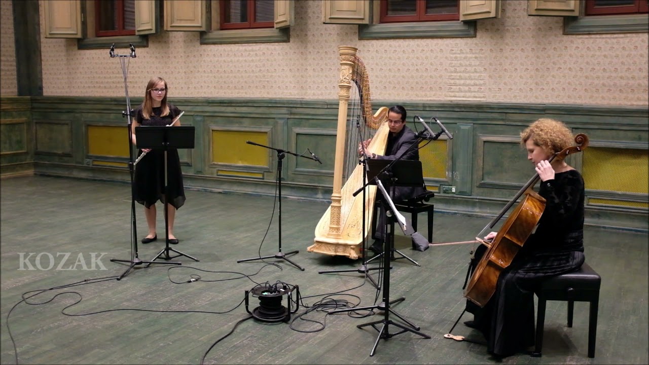 Trio Danzika, Stanisław Moniuszko Prząśniczka i Kozak, Mieczysław Karłowicz, Rdzawe Liście