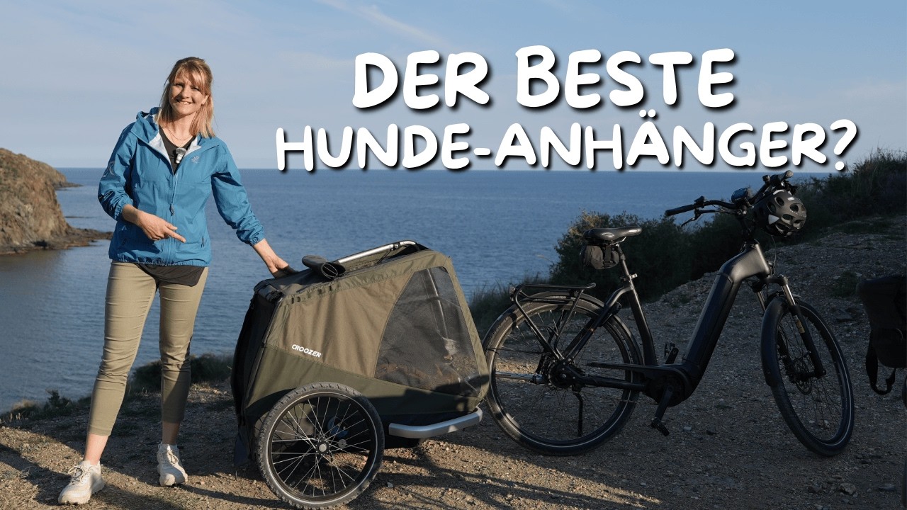 Bester Hundeanhänger? 🐶 Perfekt für Wohnmobil & Reisen 👉🏻Croozer Dog